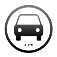 auto_300